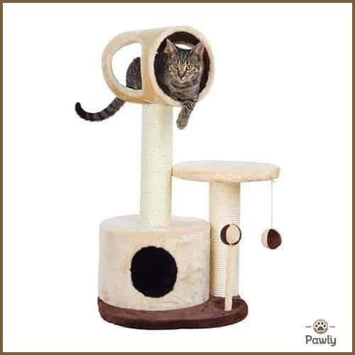 מתקן גירוד לחתולים 047