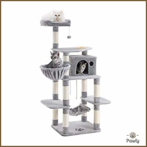 מתקן גירוד לחתולים 025